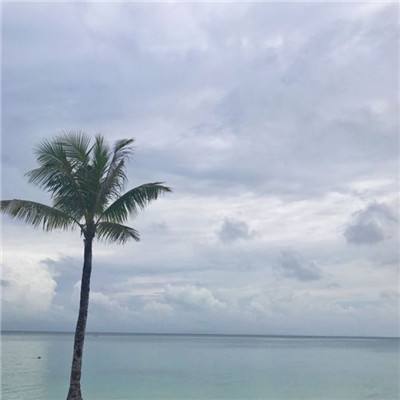 黎明对决变态版下载