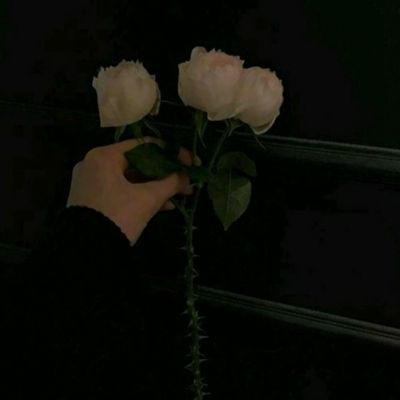 八鱼游戏盒app下载